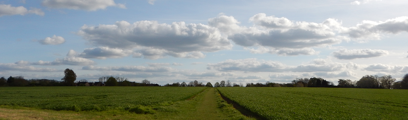 View across wheat fields to the south of Turvey